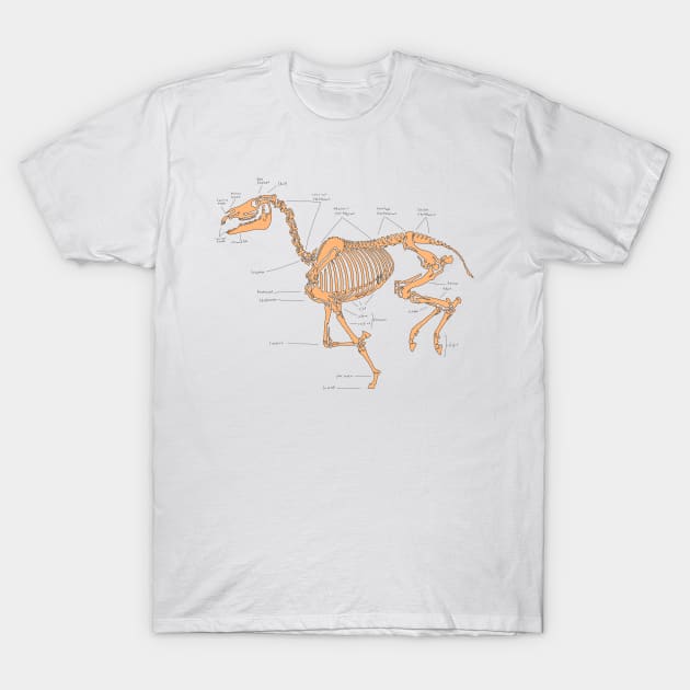 Skeleton horse anatomical sketch (tan) T-Shirt by RavenRarities